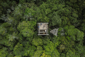 Aerial view of a tower in the Maya Biosphere Reserve's Uaxactun concession that is used by community members to monitor forest fires.
