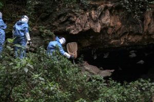 Researchers enter a cave in Uganda in 2018 to collect bats that carry the deadly Marburg virus.