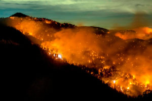 The Bobcat Fire burns through the Angeles National Forest in Southern California on September 17.