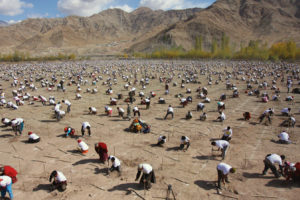 More than 9,000 people in Leh, India planted more than 50,000 tree saplings in under an hour on October 10, 2010.