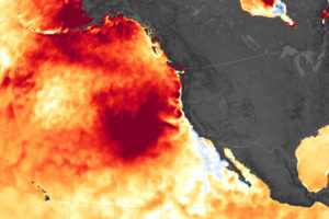 A marine heatwave off the west coast of North America in August 2019.