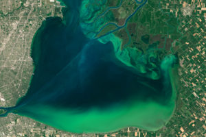 An algae bloom in Lake St. Clair in July 2015. The lake is bordered by Detroit, Michigan to the west and Canadian farmland to the east.