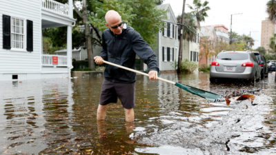 A Charleston, South Carolina resident removes debris from a drain during tidal flooding in October 2015. The city now experiences 50 days of "sunny day" flooding a year.