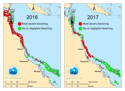 Between 2016 and 2017, nearly two-thirds of the Great Barrier Reef has undergone bleaching due to warm ocean temperatures.