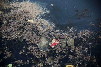 Water full of trash and milfoil, an invasive plant that thrives in nutrient-rich waters and can deplete lakes’ oxygen levels, in the town of Tano Ponggol, Lake Toba. 