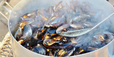 Mussels sold in grocery stores contain between 0.13 and 2.45 microplastic particles per gram of meat.