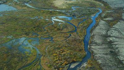 Wetlands in the Bristol Bay watershed in Alaska. Under Scott Pruitt, the EPA has moved to remove Obama-era wetlands protections under the Clean Water Act. 
  