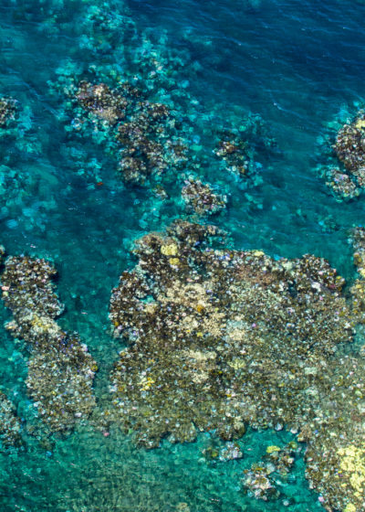 Aerial photographs of current coral bleaching along a 500-mile stretch of the Great Barrier Reef. The bleached sections appear white or yellow compared to the healthy coral surrounding it.