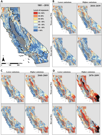 CLICK TO ENLARGE - The climate exposure of 30 California vegetation types under the current time (A) and three future periods: (B) 2011-2039, (C) 2040-2069, and (D) 2070-2099. Red and orange areas above 95 percent are most at risk.