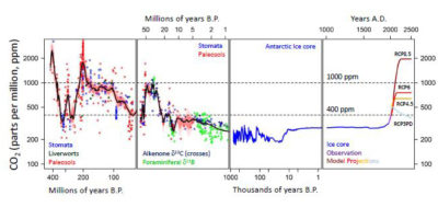 CO2 levels over the last 400 million years. The last time CO2 levels were as high as today’s was about 3 million years ago. At right are different projections of future CO2 levels from the Intergovernmental Panel on Climate Change; under the worst-case scenario, CO2 concentrations would rise to 2,000 ppm by 2500 from 400 ppm today.