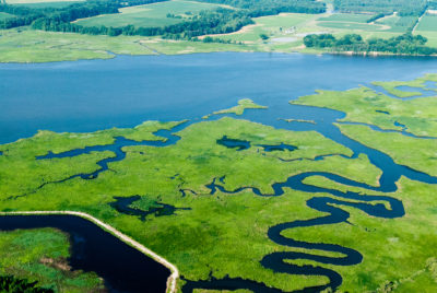 The Choptank Wetlands Preserve on Maryland's Choptank River, one of 50 rivers that drain into the Chesapeake.