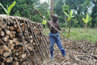 A tree farmer in eastern Congo stacks wood in a way that allows better air circulation during charcoal production, helping to carbonize wood more quickly and efficiently.