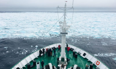 Early in the expedition, the Akademik Ioffe encountered floes of thick sea ice.