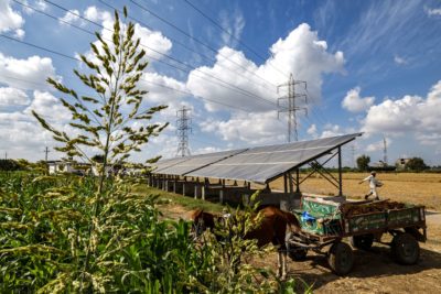 Solar panels power pumping at a farm near Kafr el-Dawwar, Egypt.