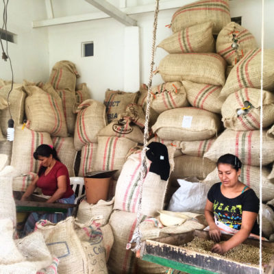 Women sort coffee beans at the 44-acre Finca El Ocaso farm, near Salento, Colombia.
