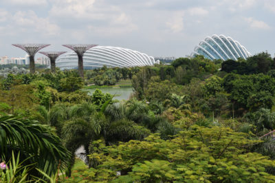 The 250-acre Gardens by the Bay park in Singapore. Nearly half of Singapore's land is comprised of green space and nature preserves.