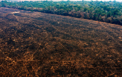 Burned areas of the Amazon rainforest, near Porto Velho, Rondonia state, Brazil, on August 24.
