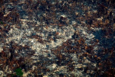 A recently burned section of forest in Altamira, Para state, Brazil on August 28.