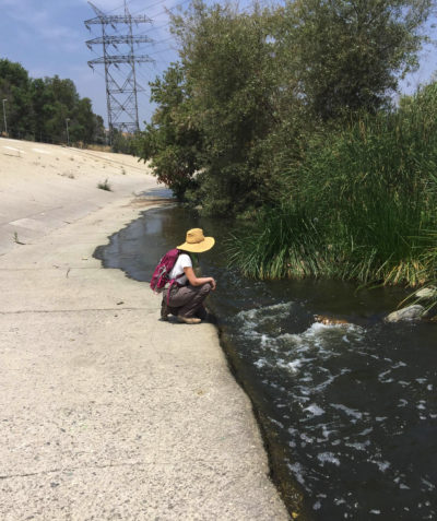 Nature Conservancy biologist Sophie Parker in the the Glendale Narrows section of the Los Angeles River.