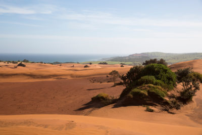 The sand dunes that stretch along the Pondoland coast and up to two kilometers inland are believed to contain some of the world’s richest reserves of titanium.