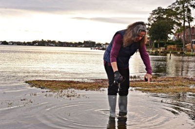 Scientist Margaret Mulholland collects a water sample from high-tide flooding in Norfolk in January.
