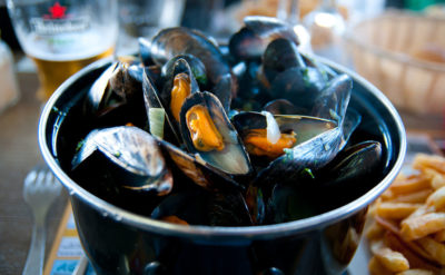 Blue mussels, pictured here, are an important food source in Europe.