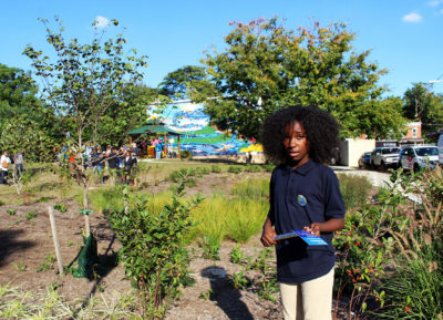 This rain garden in West Philadelphia helped transform a formerly vacant lot into a community gathering place.