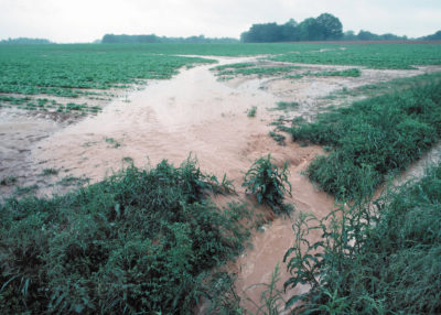 Water flows off a farm in Tennessee following a storm. Scientists project climate-fueled rain events could increase runoff nitrogen in U.S. waterways by 19 percent.