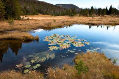 The headwaters of the Colorado River are in a marshy meadow just inside the northern boundary of Rocky Mountain National Park at La Poudre Pass, Colorado.