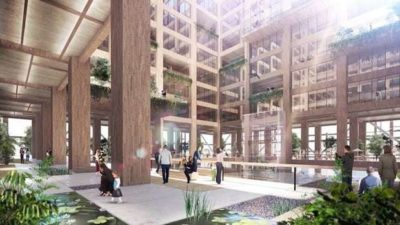 The interior of the new W350 building will be made entirely out of wood.