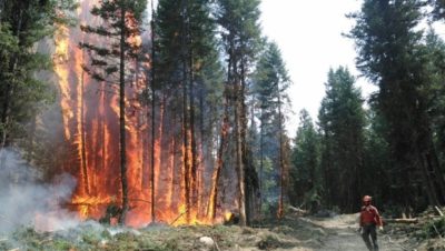 British Columbia had more than 1,000 wildfires this summer, including this one in the Cariboo region.
  