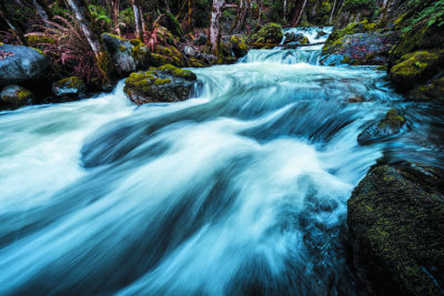 Ke’pel Creek runs through land recently purchased by the Yurok Tribe in Northern California.