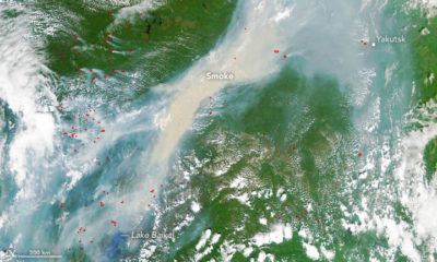 A satellite image shows dozens of wildfires burning across Siberia on June 23, 2017.
