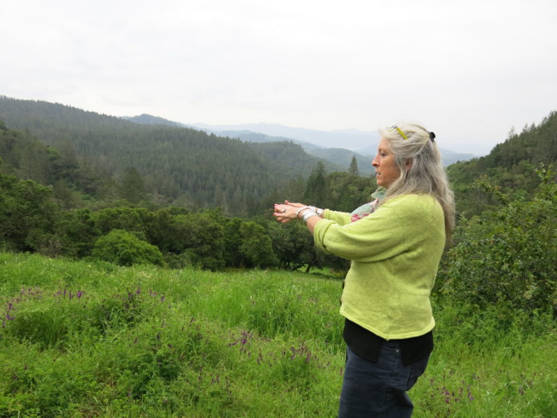 Activist Kellie Anderson wants to protect Napa's remaining forests from encroaching vineyards.