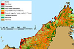 Logging damage in Malaysian Borneo.