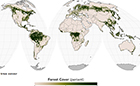 Global-forest-comparison-140.jpg
