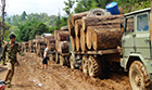 Log-trucks-in-Kachin-waiting-to-cross-th