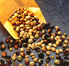 soybeans for biofuel