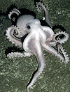 Pale Octopus Southern Ocean