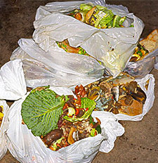 Food waste for biogas plant