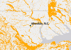 forests surrounding Enviva Ahoskie plant