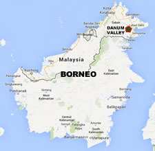 Borneo_zoom_225.jpg