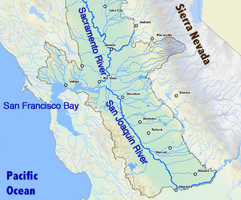 Sacramento and San Joaquin Rivers
