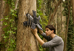 Rainforest Connection sound technology