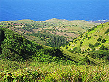 Ascension Island ecosystems