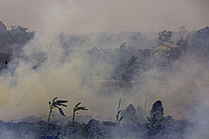 indonesia_forest_fires_2015.jpg