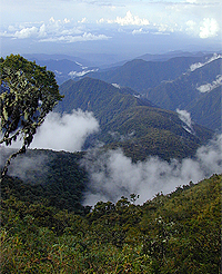 Manu National Park in Peru