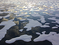 Arctic Sea Ice NASA