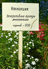 N.I. Vavilov Research Institute of Plant Industry