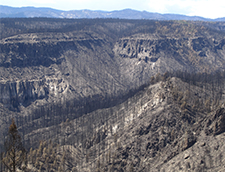 Las Conchas Wildfire New Mexico